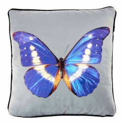 Butterfly Blue 45 x 45 Cushion Complete With Feather Interior
